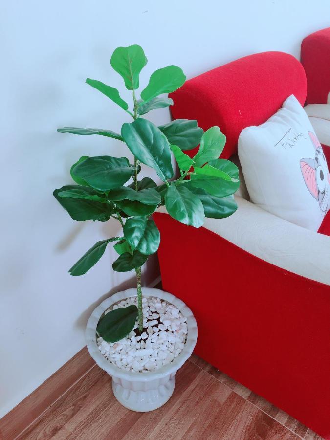 Doc Homestay دالات المظهر الخارجي الصورة